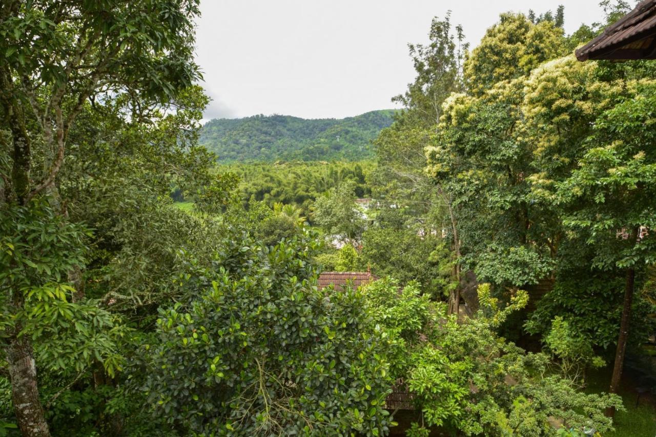 Hotel Treetop Thekkady Εξωτερικό φωτογραφία